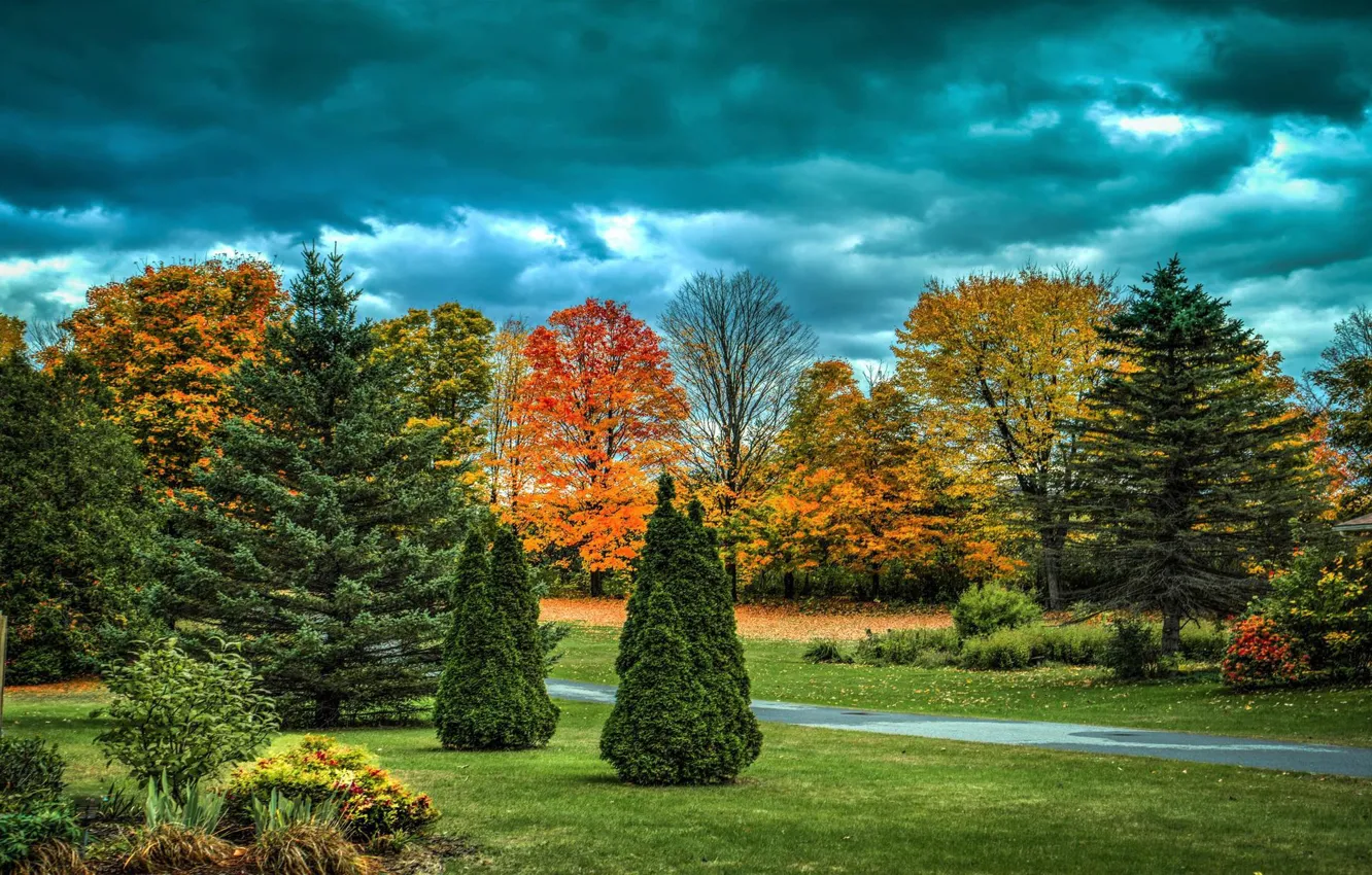 Фото обои осень, природа, парк