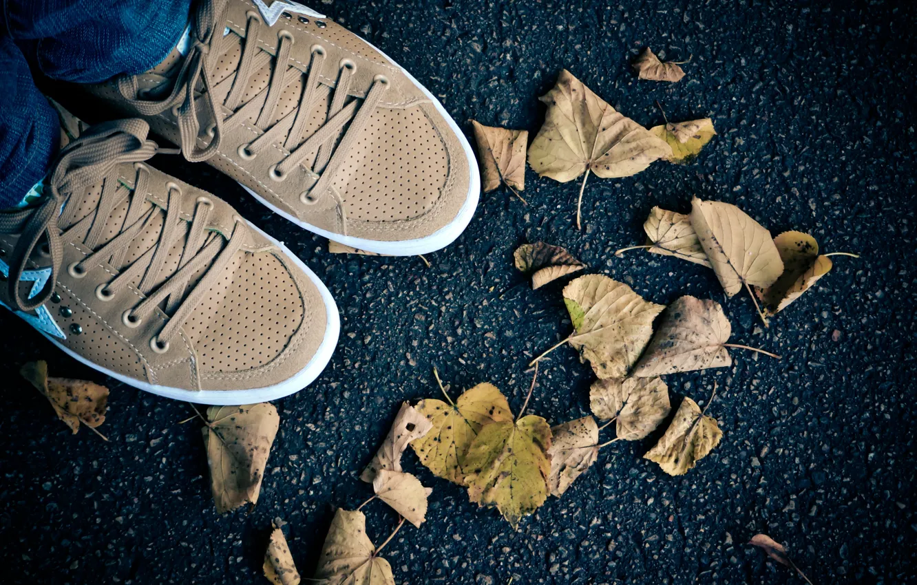 Фото обои осень, листва, обувь, кеды, путешествие, осеннее настроение, рига, асфаль