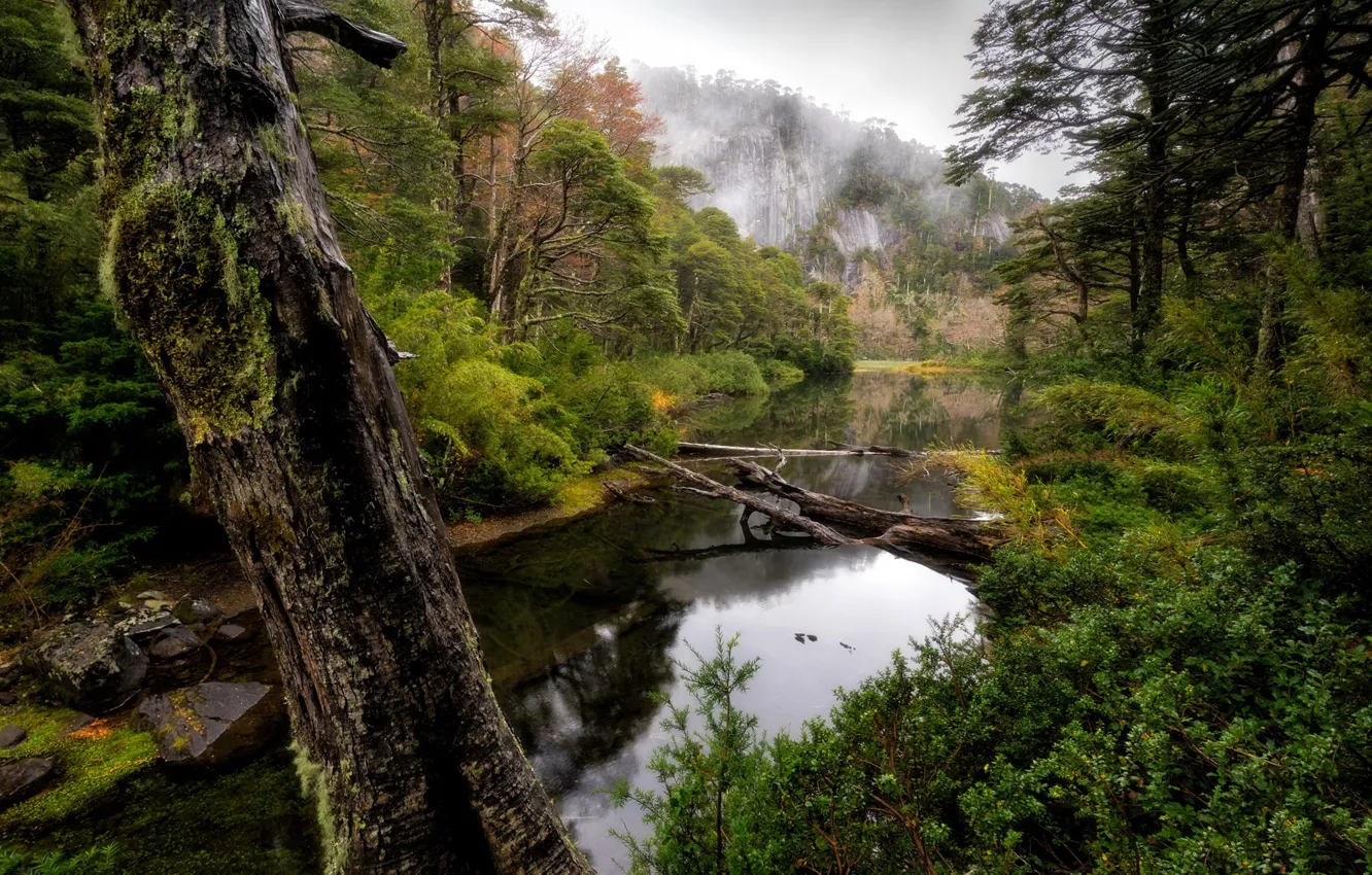 Фото обои Chile, Parque Nacional Huerquehue, Araucanía