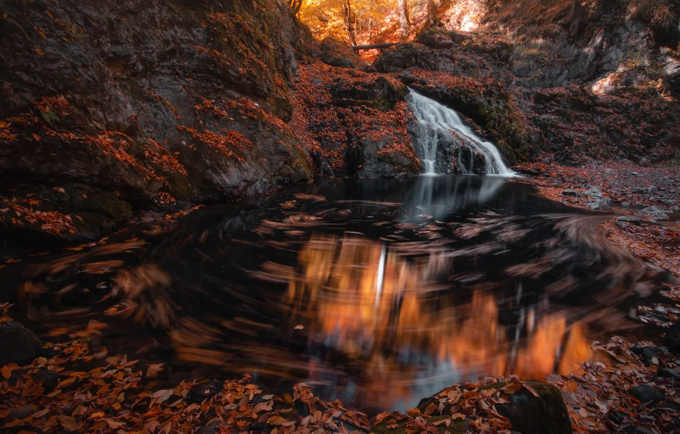 Фото обои осень, лес, природа, камни, водопад