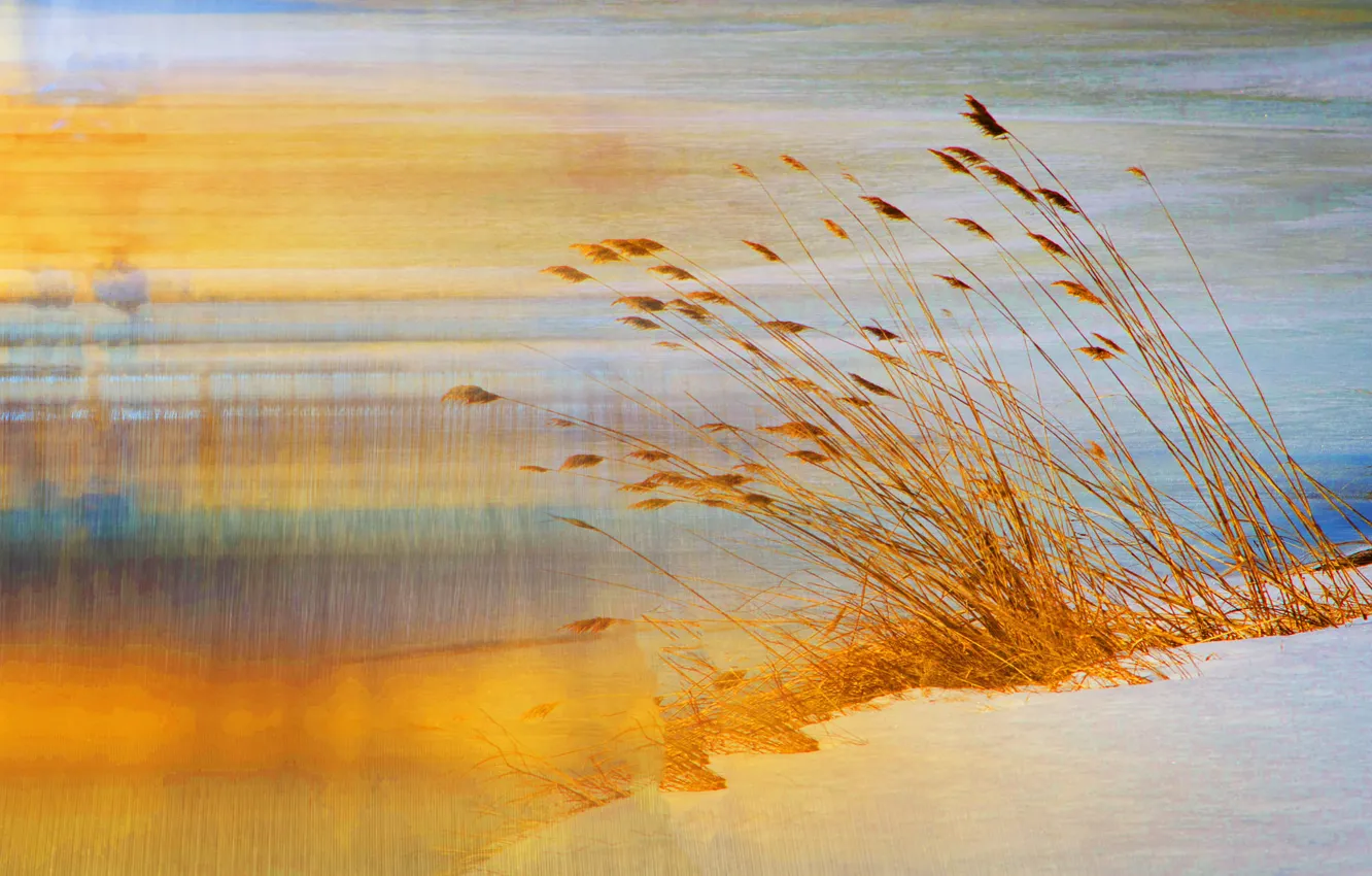 Фото обои песок, трава, природа, берег, штрих