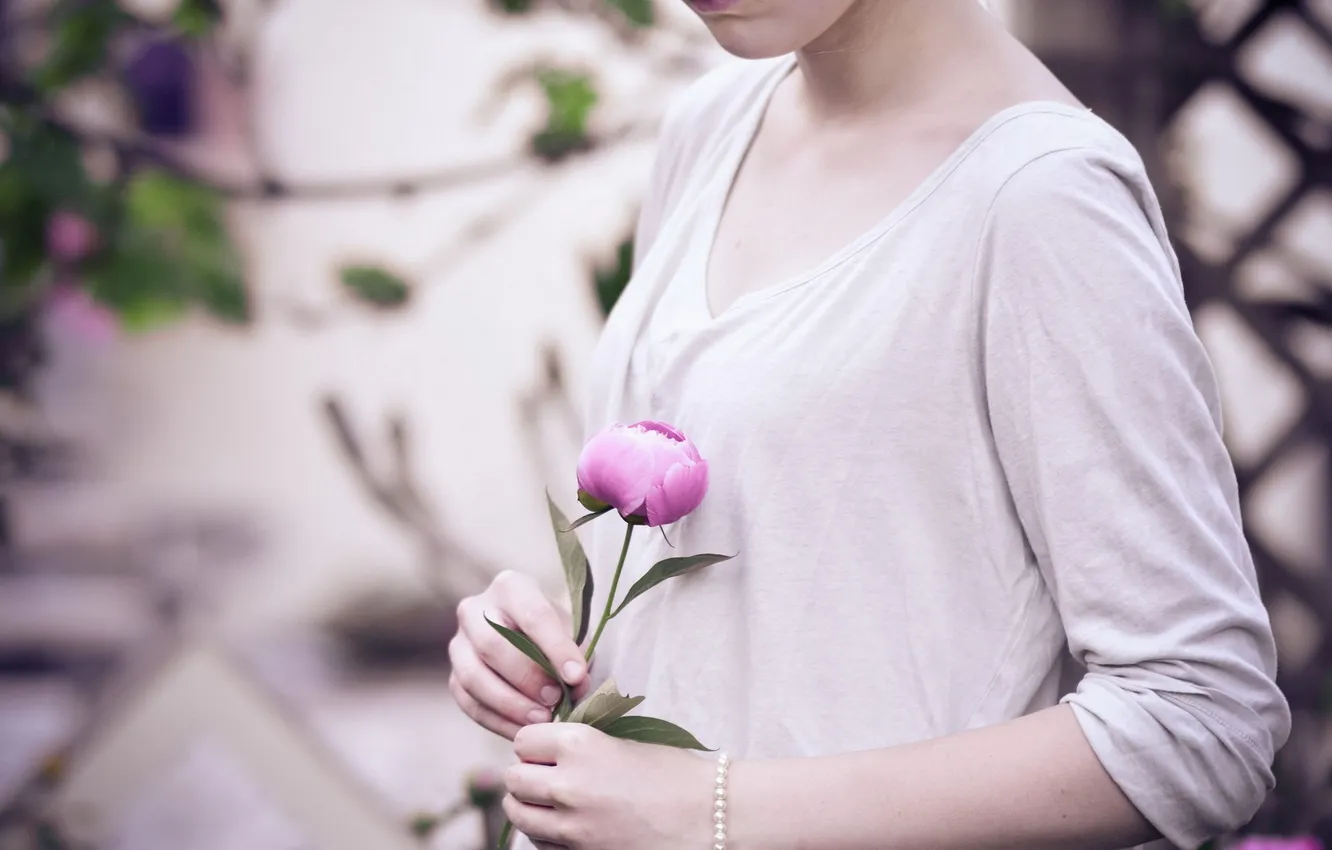 Фото обои цветок, девушка, руки