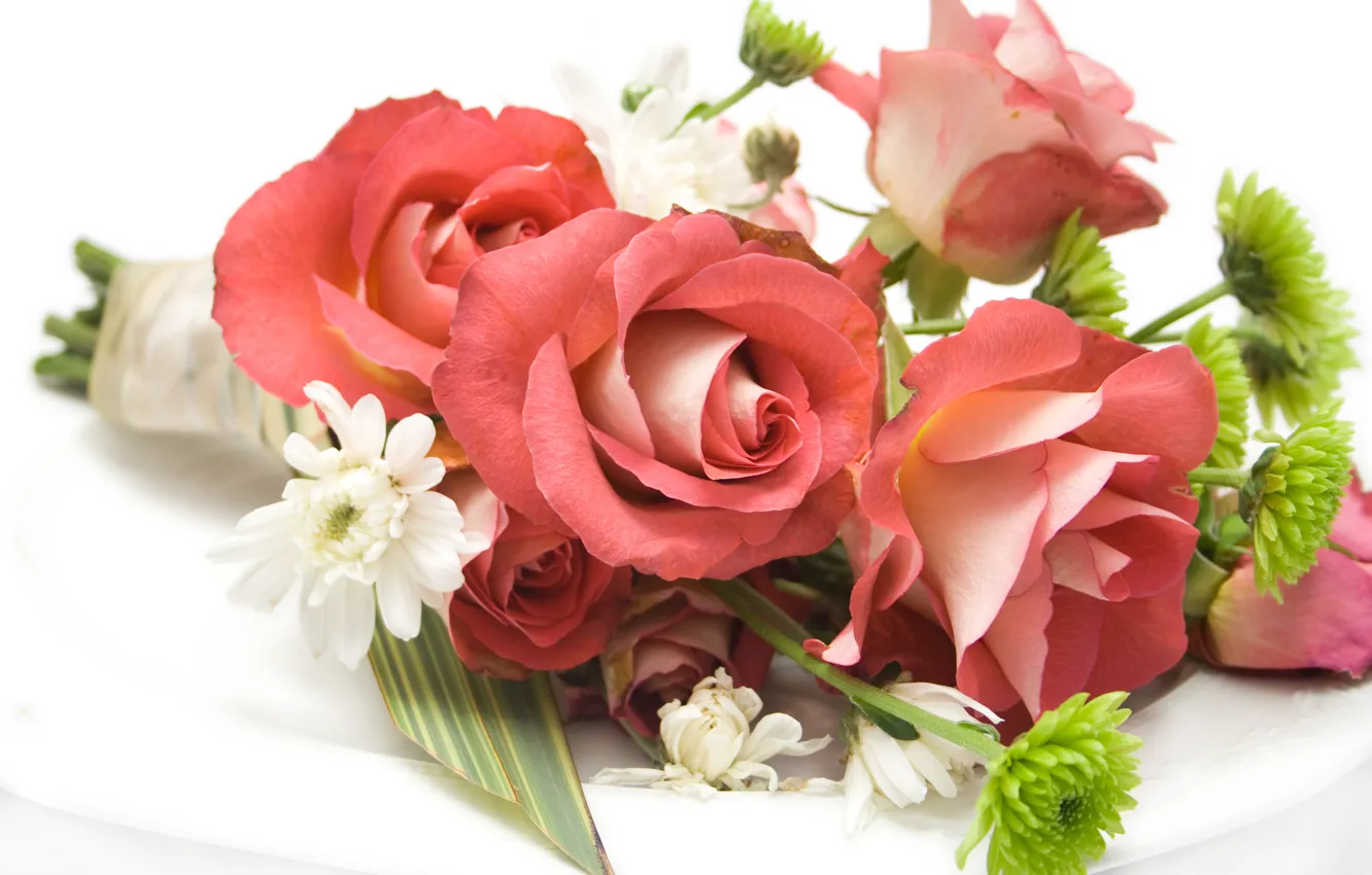 Фото обои цветок, цветы, розы, rose, flower, красивые, flowers, beautiful