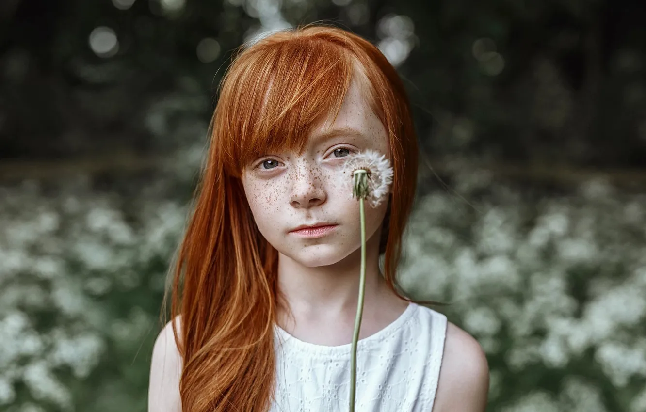 Фото обои одуванчик, девочка, веснушки, рыжик, Olga Gridina