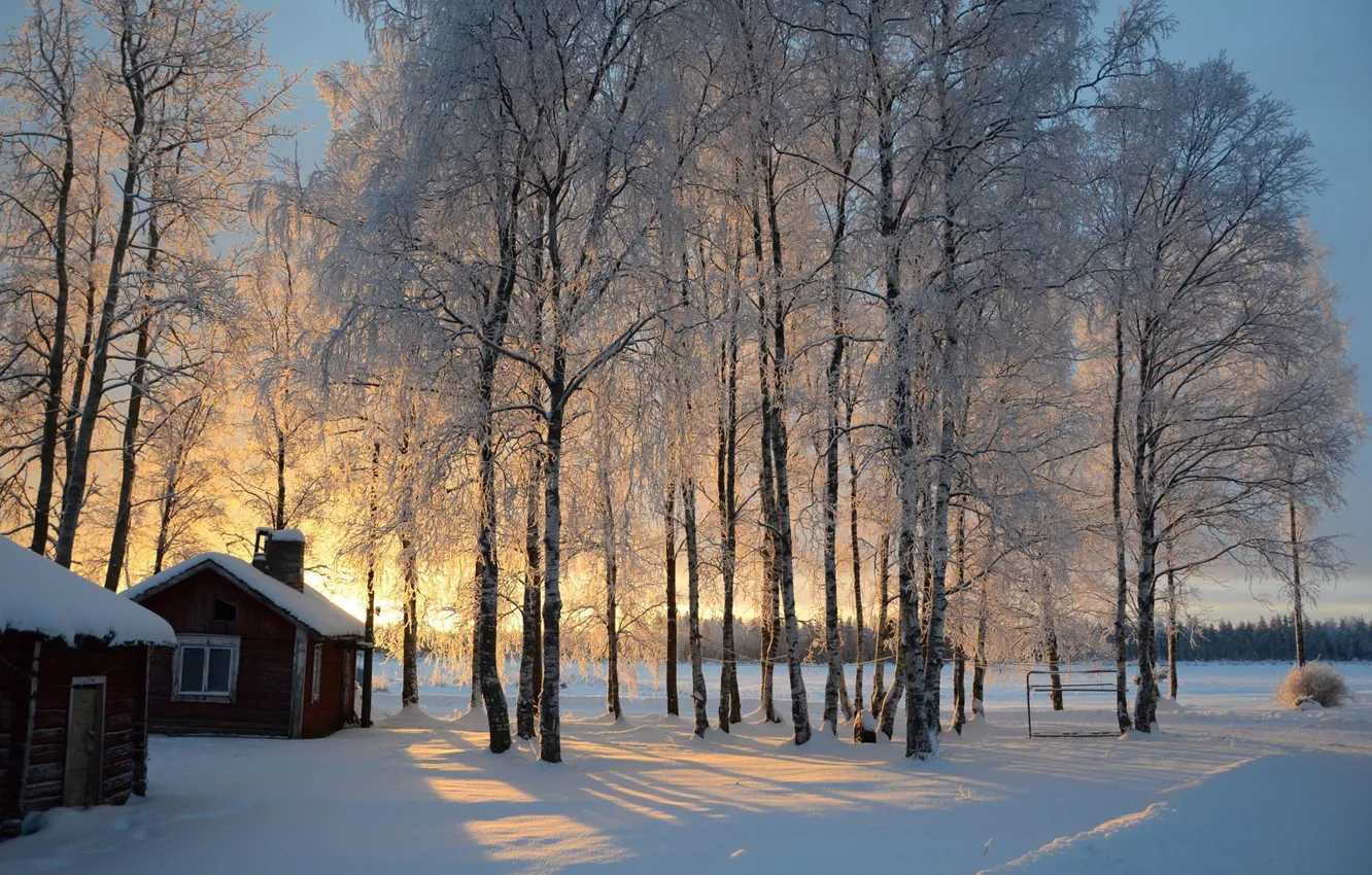 Фото обои зима, снег, деревья, восход, хижина, берёзы, Финляндия, Finland