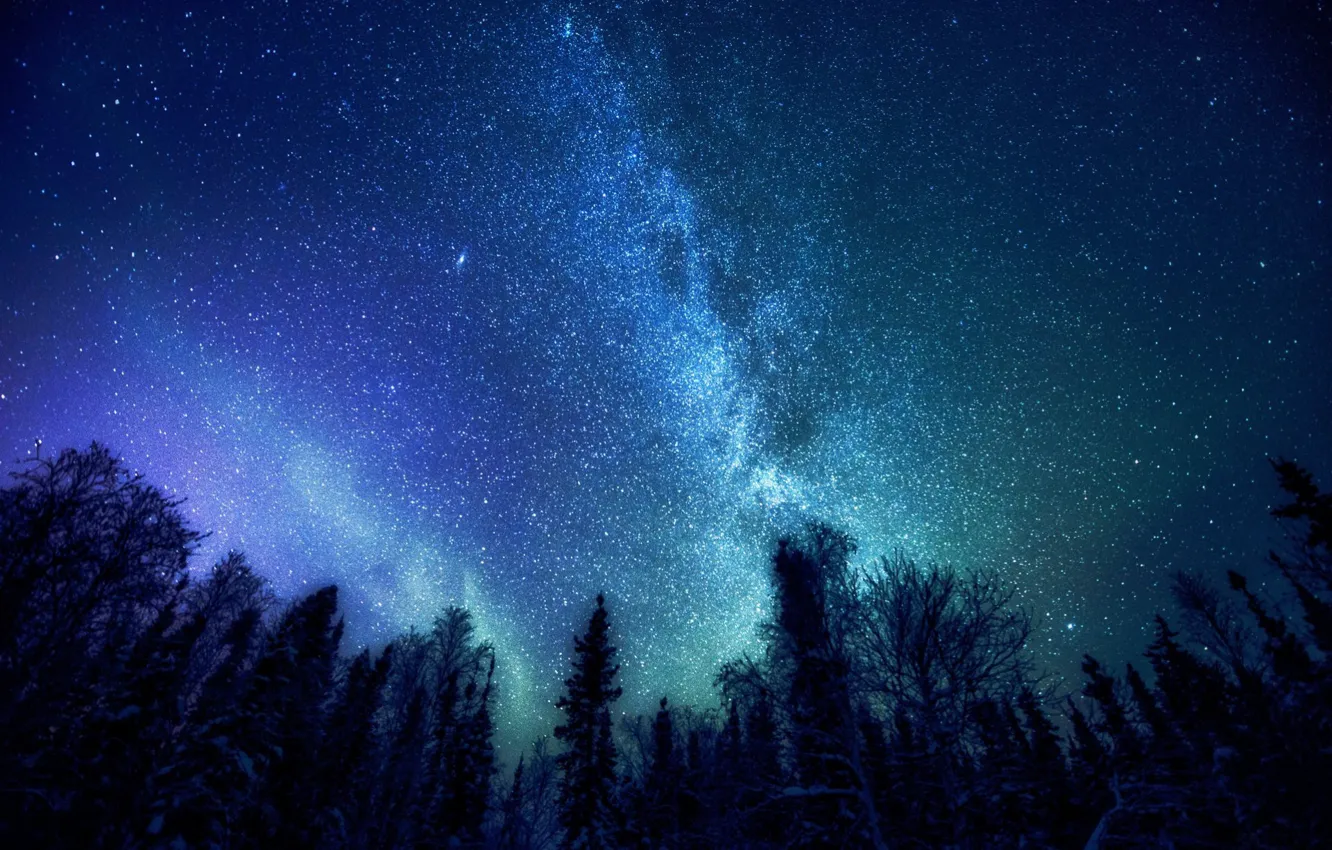 Фото обои Небо, Ночь, Млечный Путь, Тайга, Созвездия
