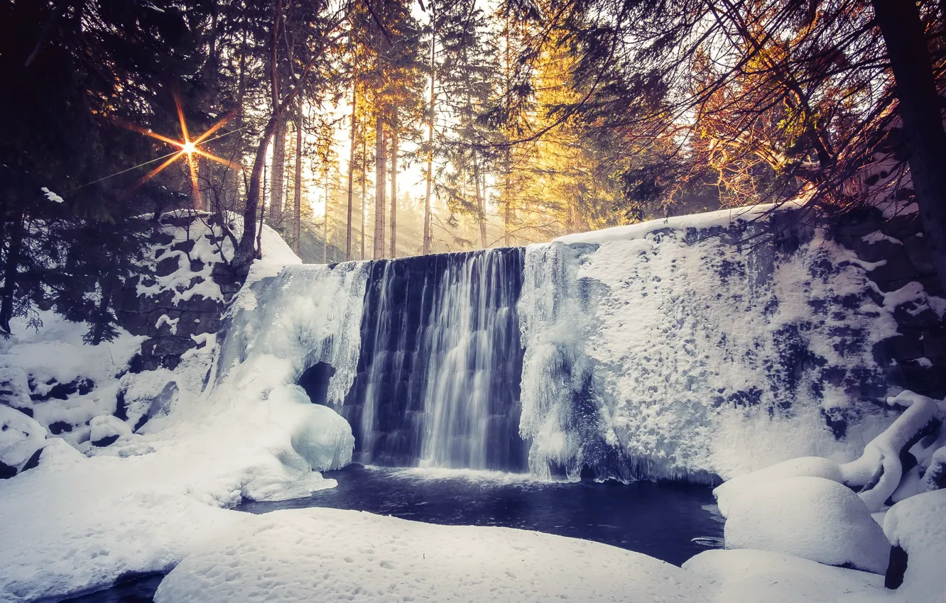 Фото обои зима, лес, свет, река, водопад, утро