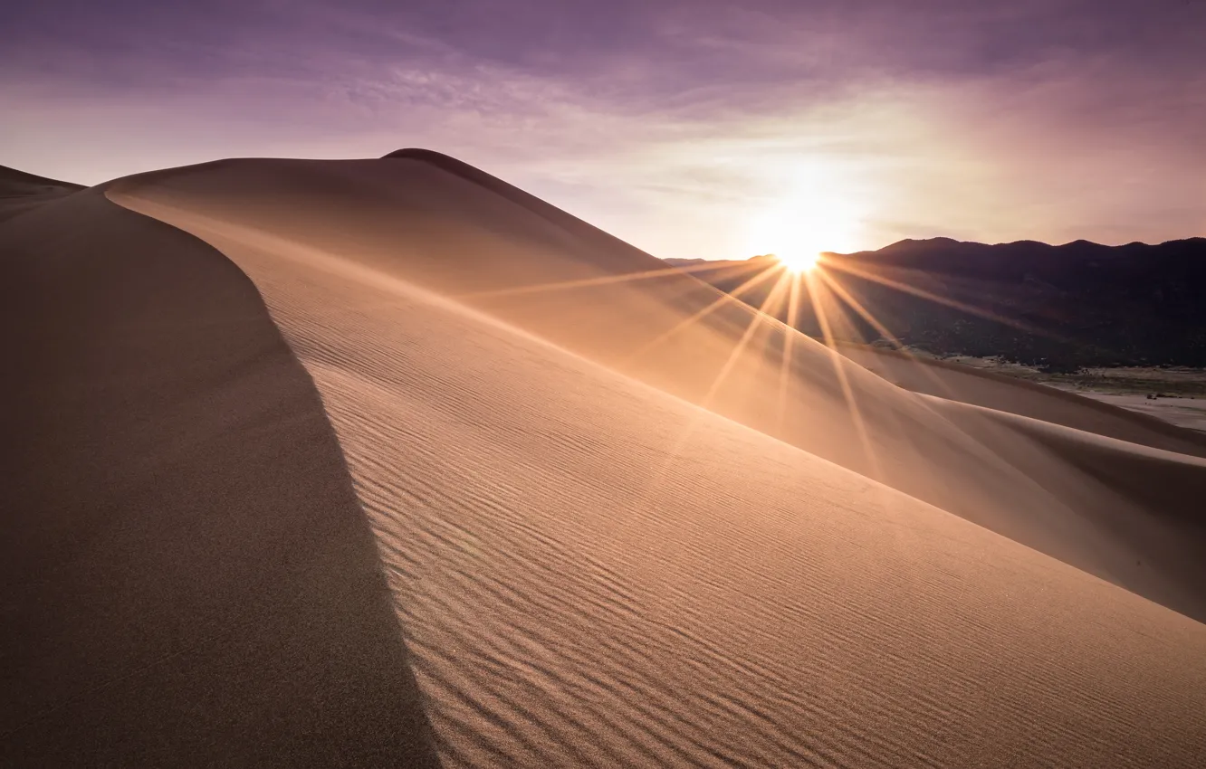 Фото обои песок, небо, солнце, лучи, свет, линии, барханы, пустыня