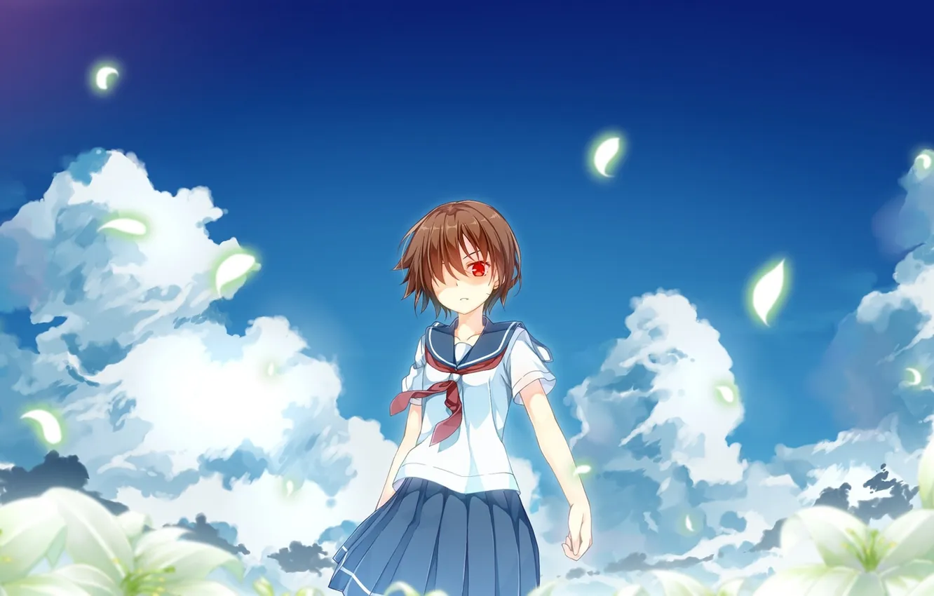 Фото обои небо, девушка, облака, цветы, аниме, лепестки, арт, форма
