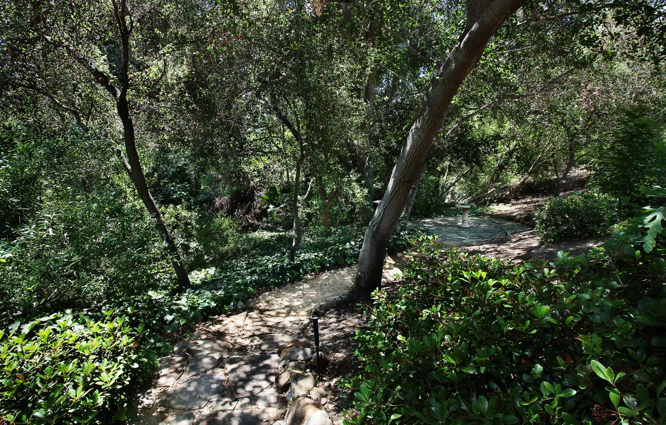 Фото обои зелень, деревья, парк, Калифорния, дорожка, США, кусты, San Juan Capistrano