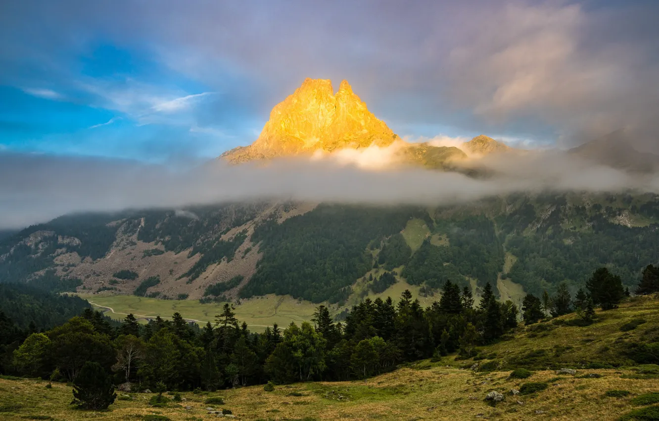 Фото обои облака, деревья, гора, долина
