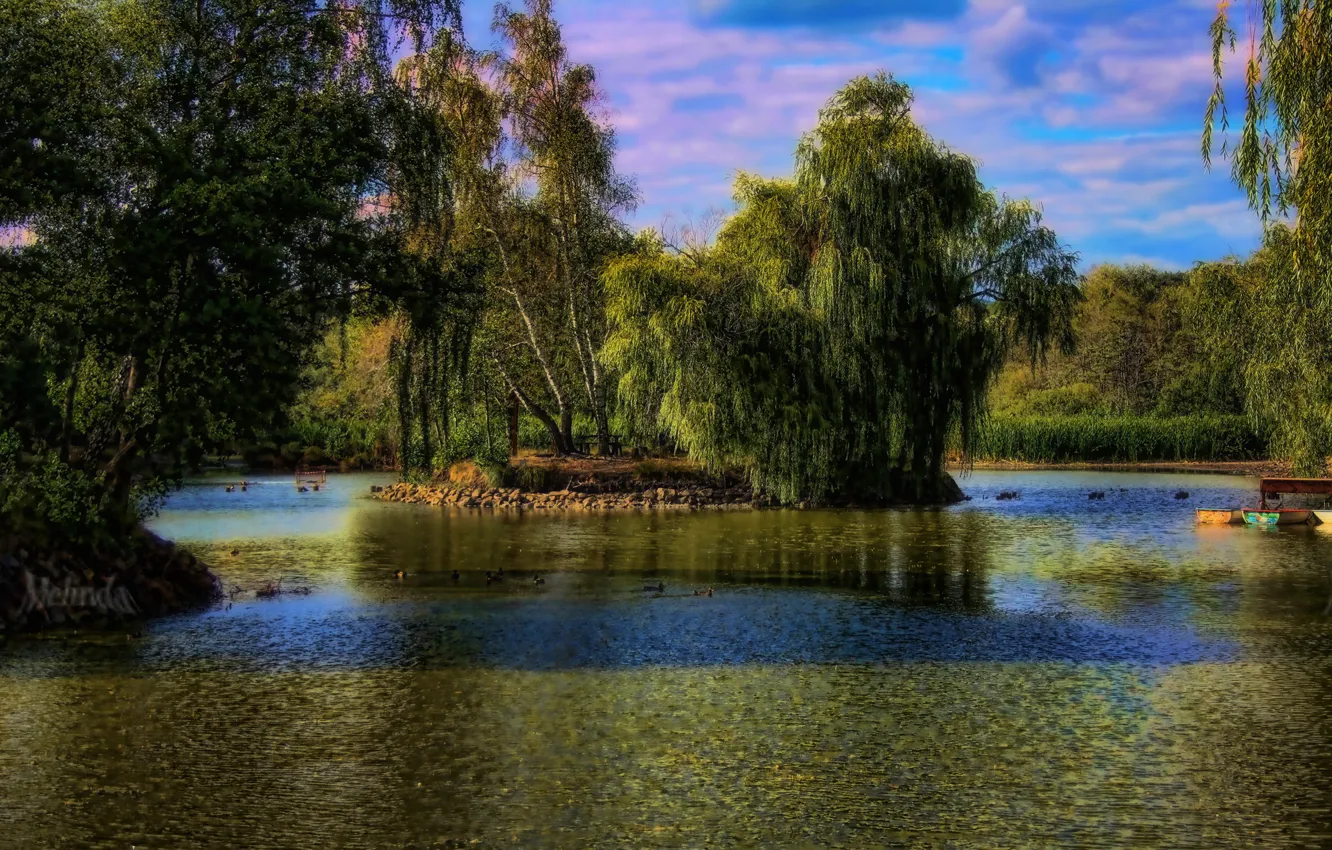 Фото обои деревья, озеро, парк, лодки, островок, Венгрия, Gyongyos