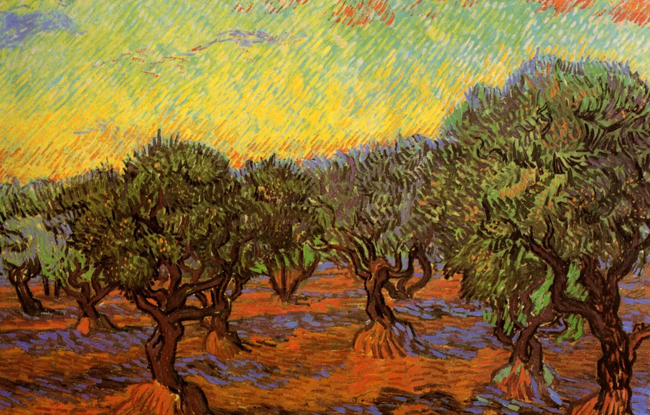 Фото обои деревья, Vincent van Gogh, Orange Sky, Olive Grove