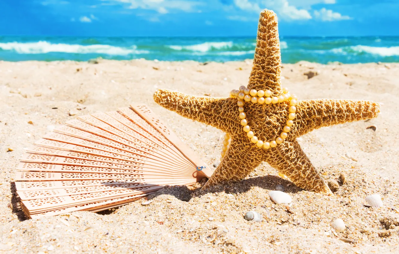 Фото обои beach, sea, sand, starfish