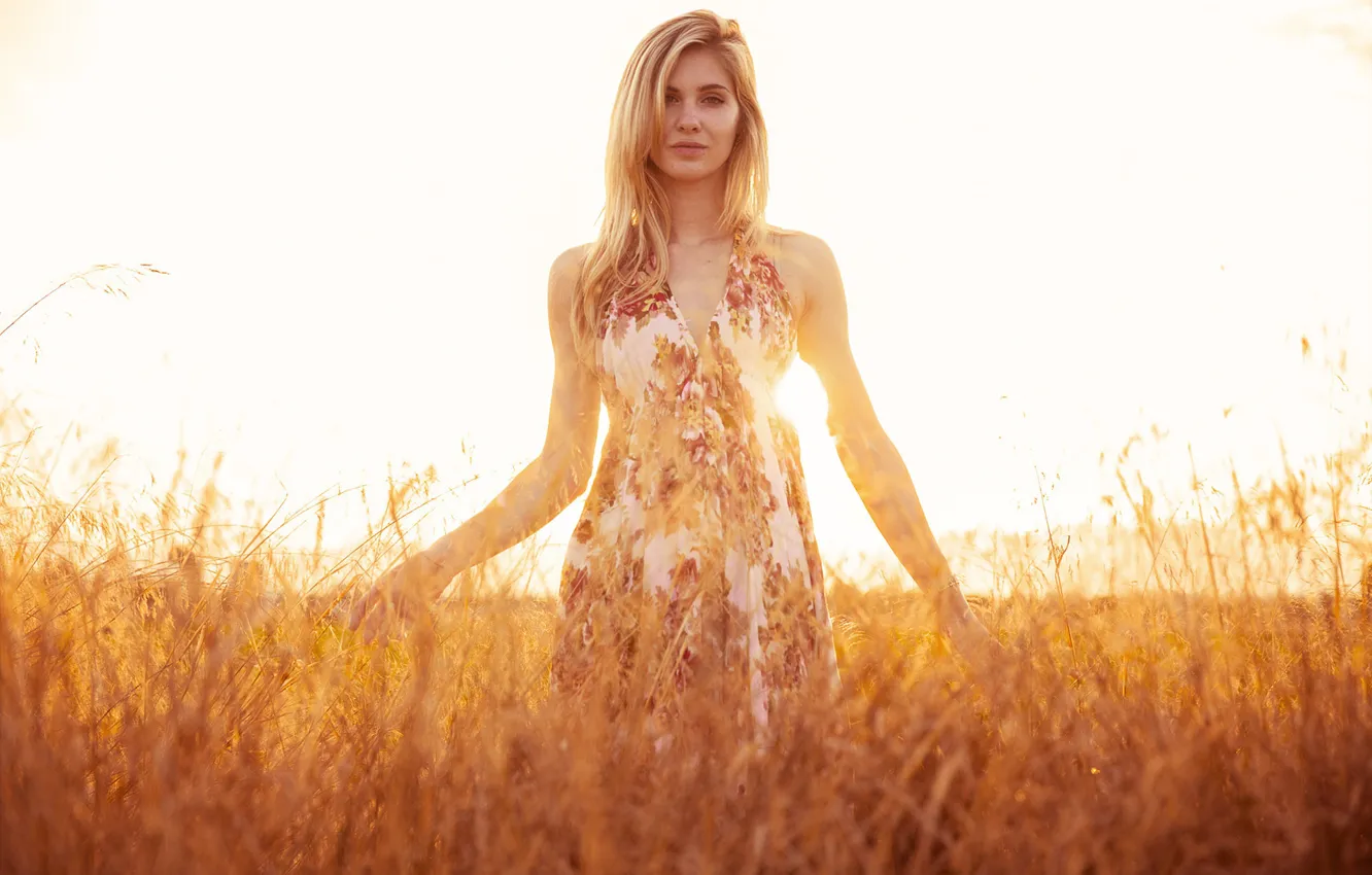 Фото обои поле, трава, солнце, природа, платье, прическа, блондинка, Laura