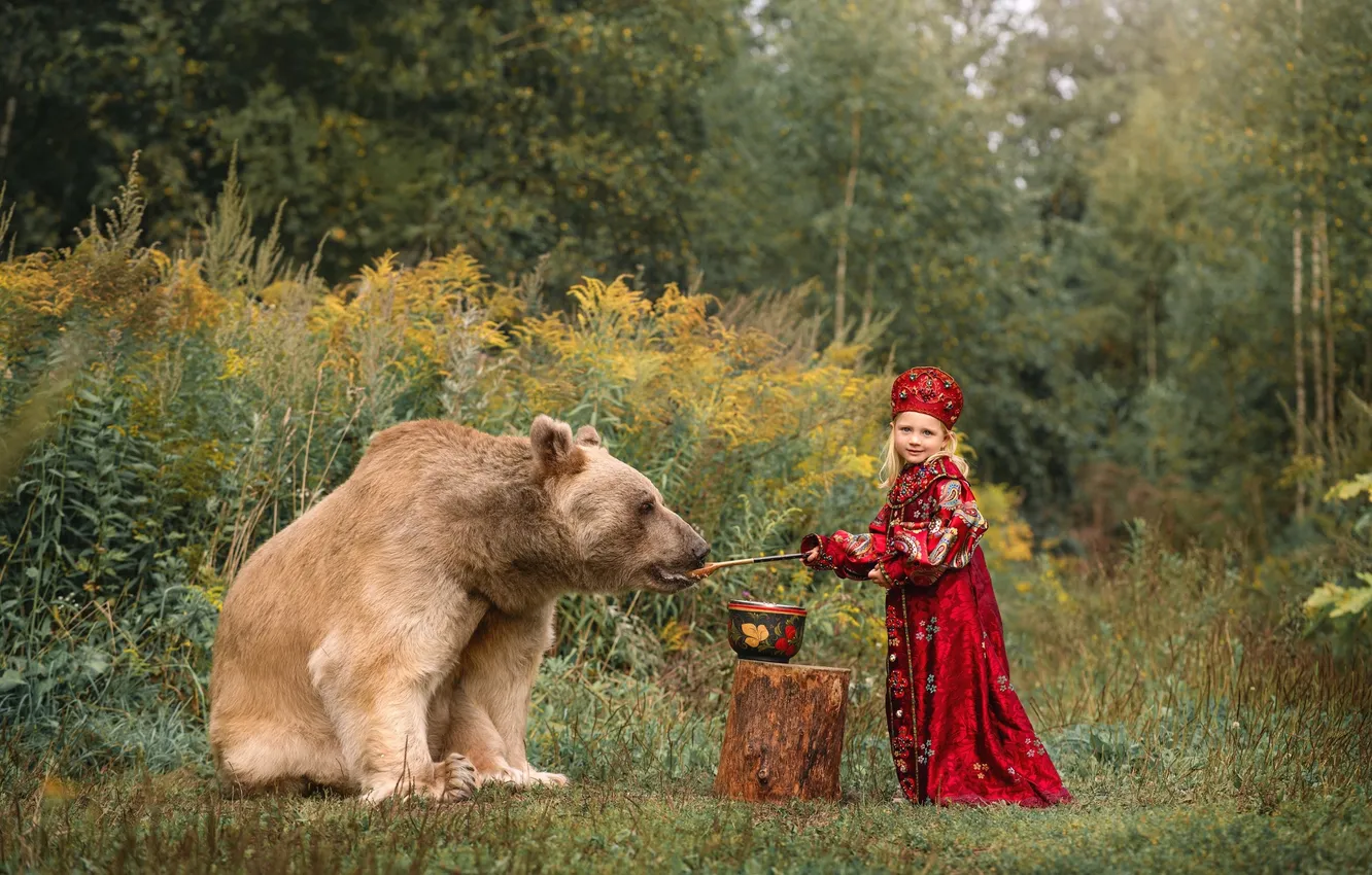 Фото обои лес, природа, поза, стиль, поляна, пень, медведь, костюм