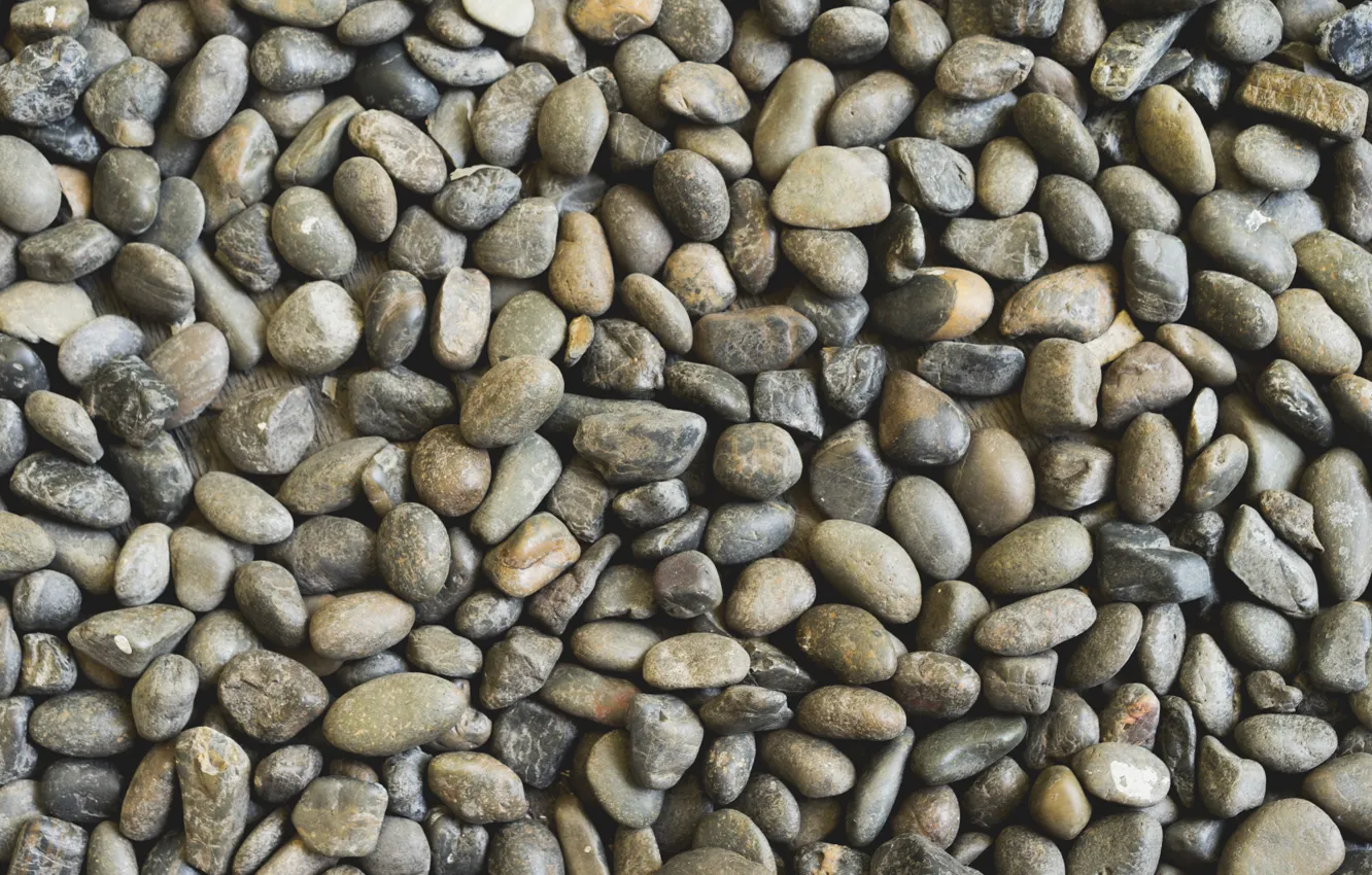 Фото обои пляж, галька, камни, фон, white, белые, beach, texture