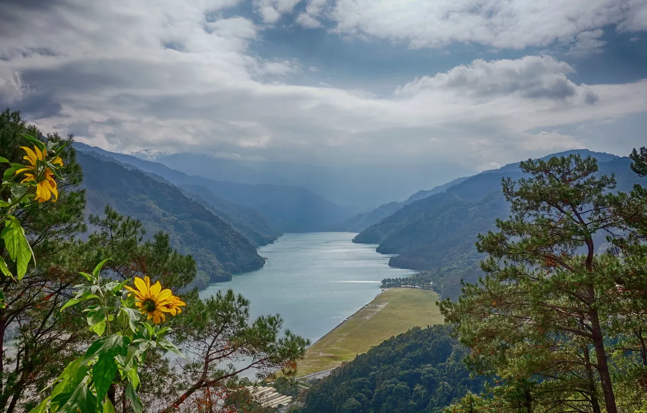 Фото обои forest, river, landscape, nature, mountains