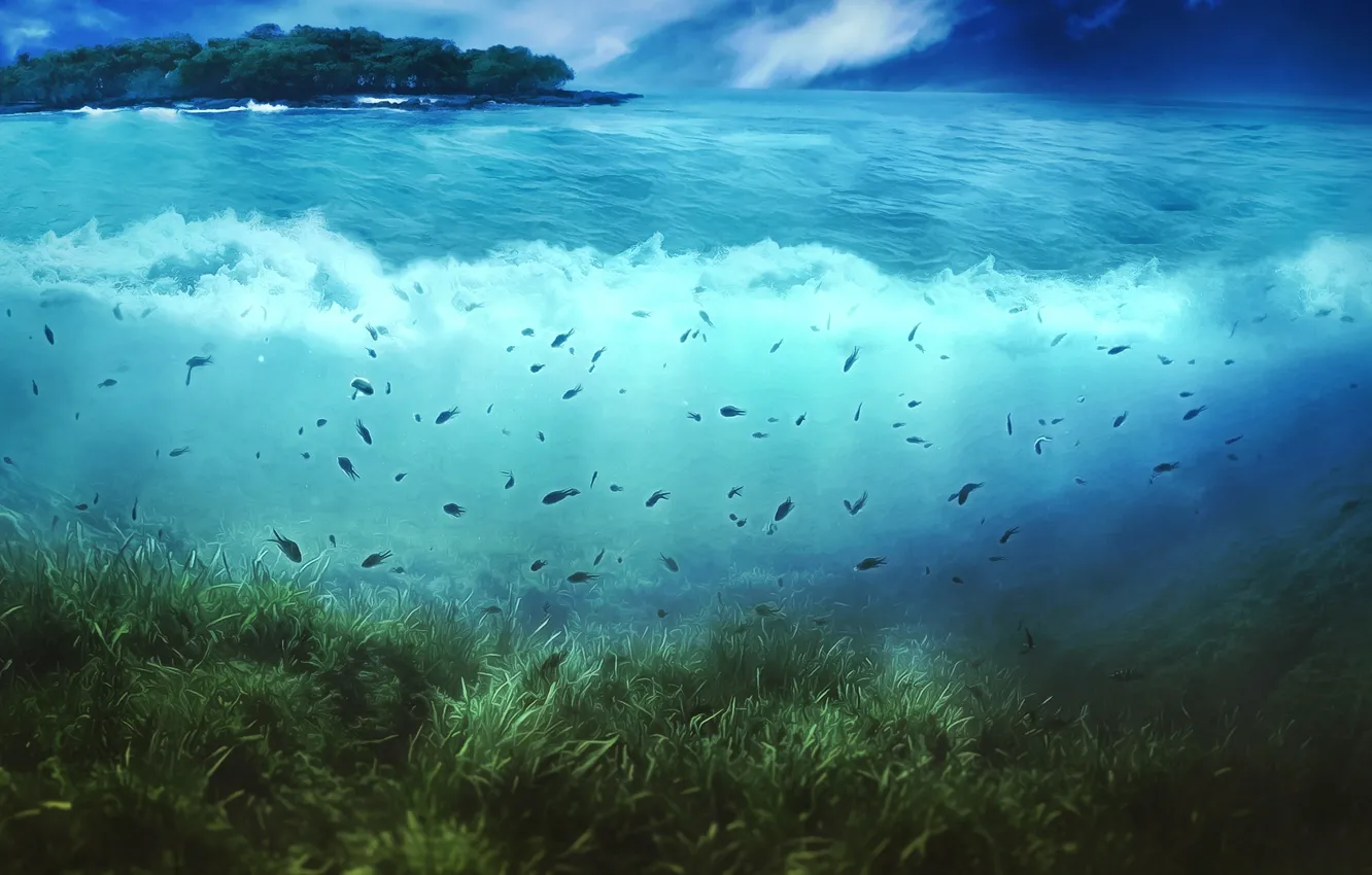 Фото обои волны, вода, деревья, рыбы, водоросли, Остров