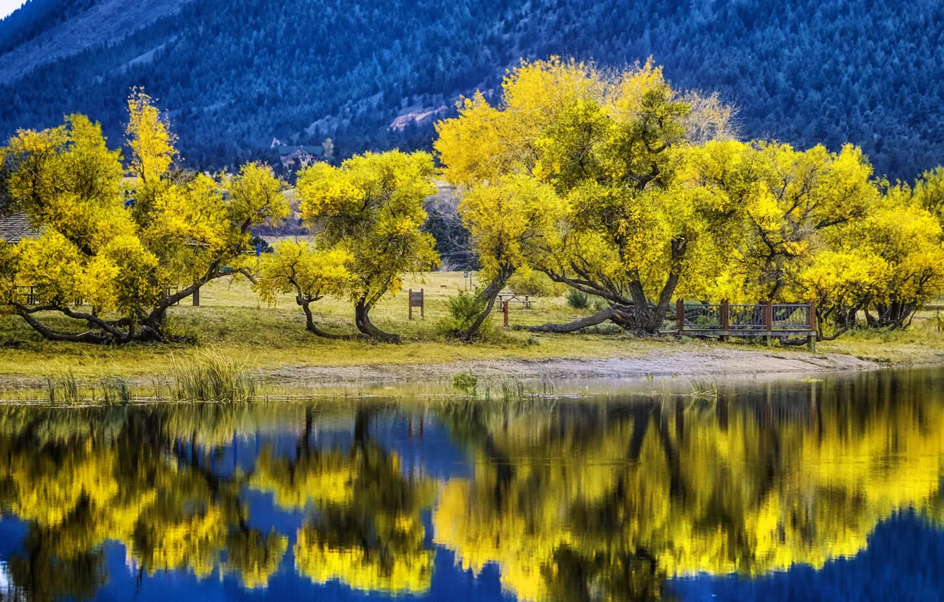 Фото обои осень, деревья, горы, природа, озеро, Колорадо, США, Палмер Лейк