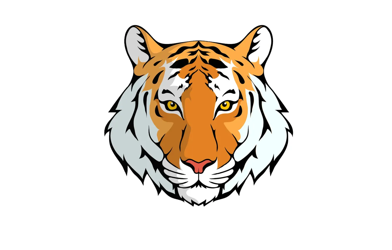 Фото обои тигр, минимализм, голова, светлый фон, tiger