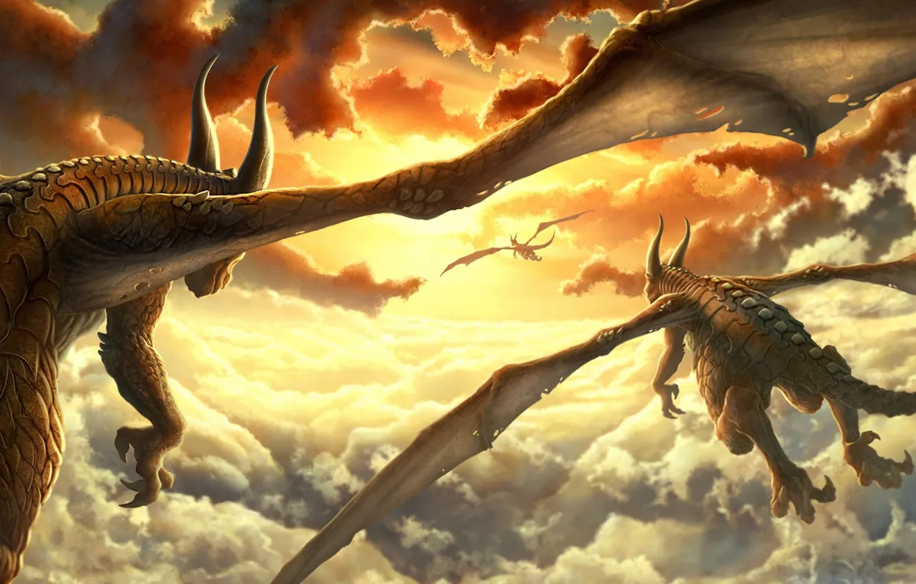 Фото обои солнце, облака, закат, крылья, драконы