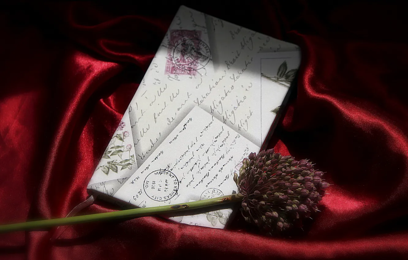 Фото обои цветок, письмо, фон