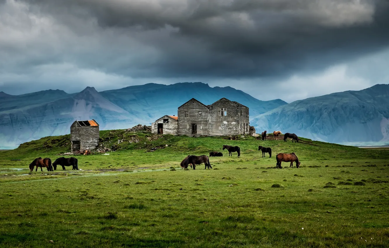 Фото обои house, grass, storm, mountains, horses, farm, ruin