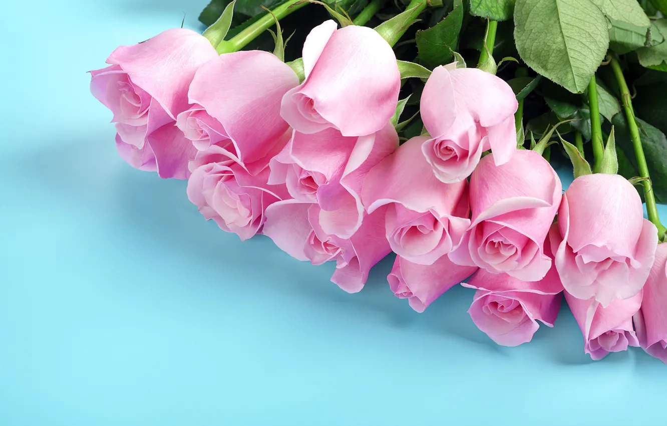 Фото обои цветы, розы, букет, розовые бутоны