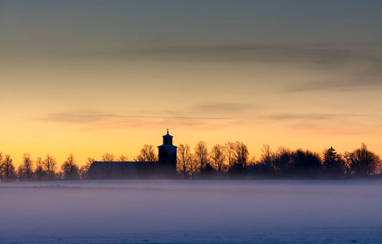 Фото обои зима, поле, небо, облака, снег, деревья, туман, рассвет