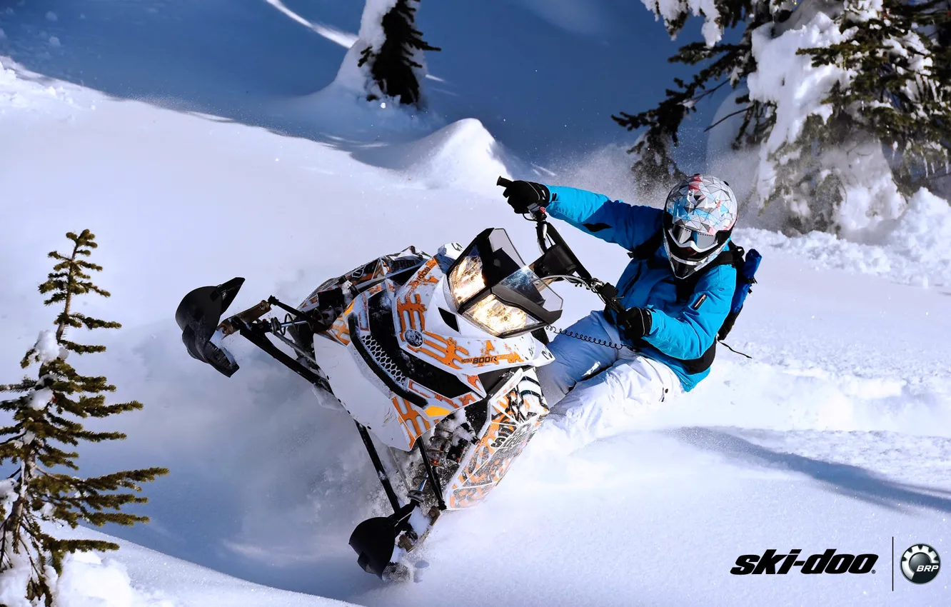Фото обои снег, спорт, sport, ёлка, snow, снегоход, freeride, snowmobile