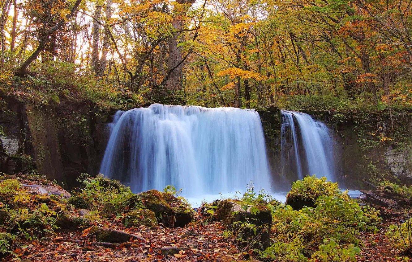 Фото обои осень, лес, водопад, поток