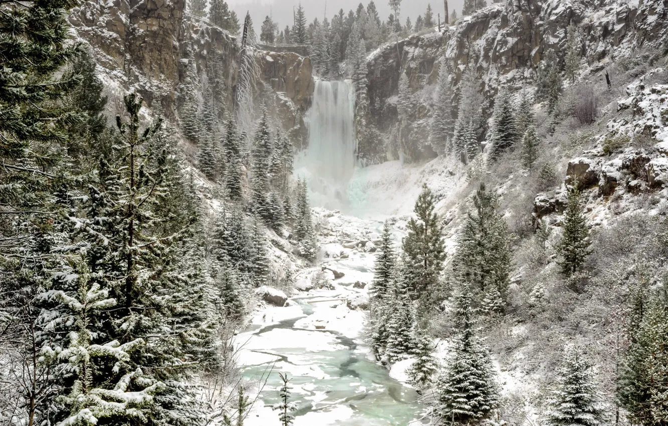 Фото обои зима, лес, снег, природа, водопад