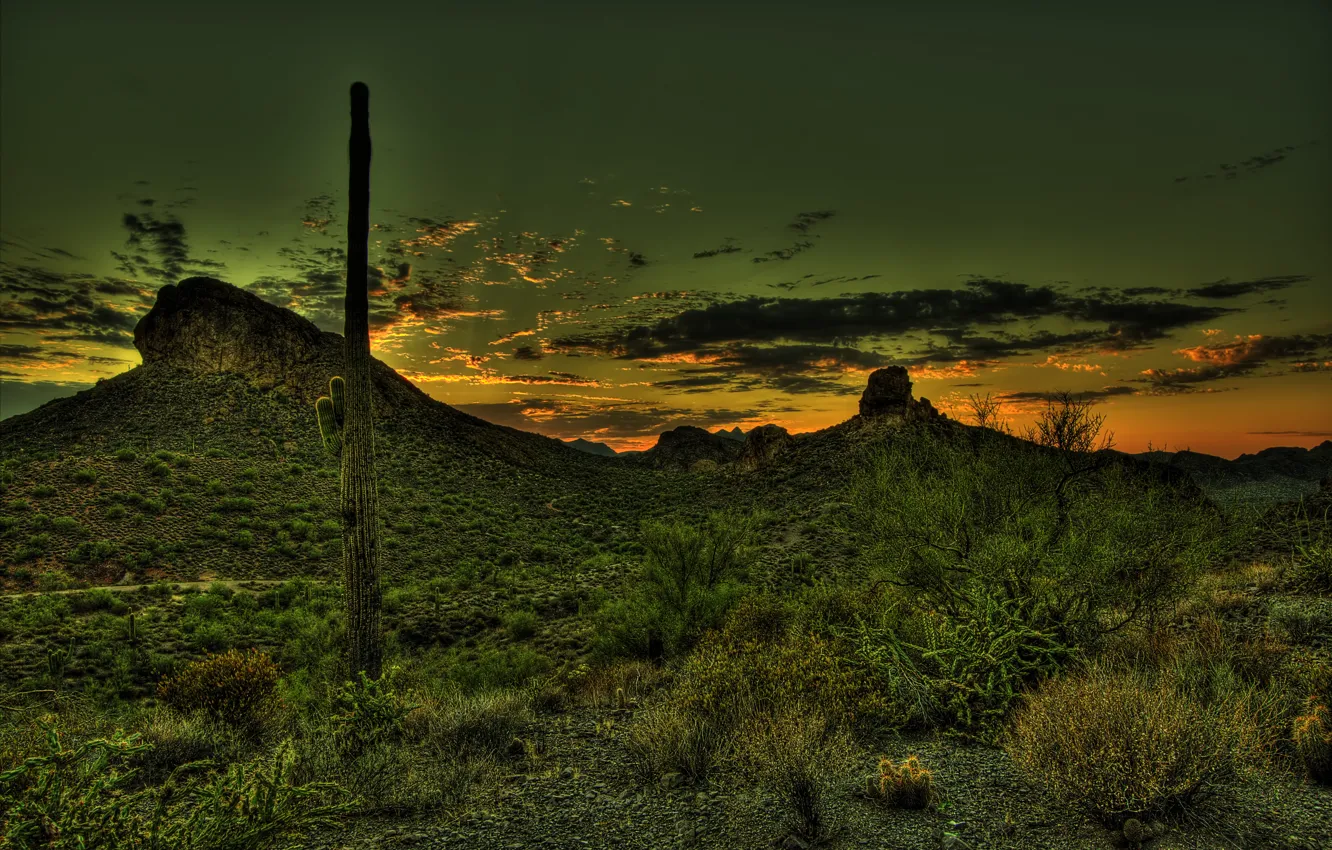 Фото обои закат, горы, пустыня, HDR, кактус, Мексика