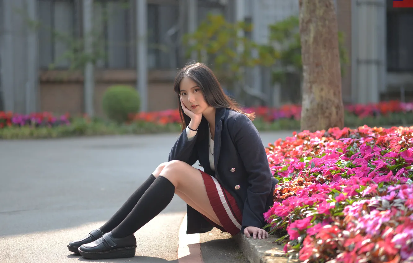 Фото обои взгляд, азиатка, look, asian, flower bed, девушка сидит, slender legs, стройные ноги