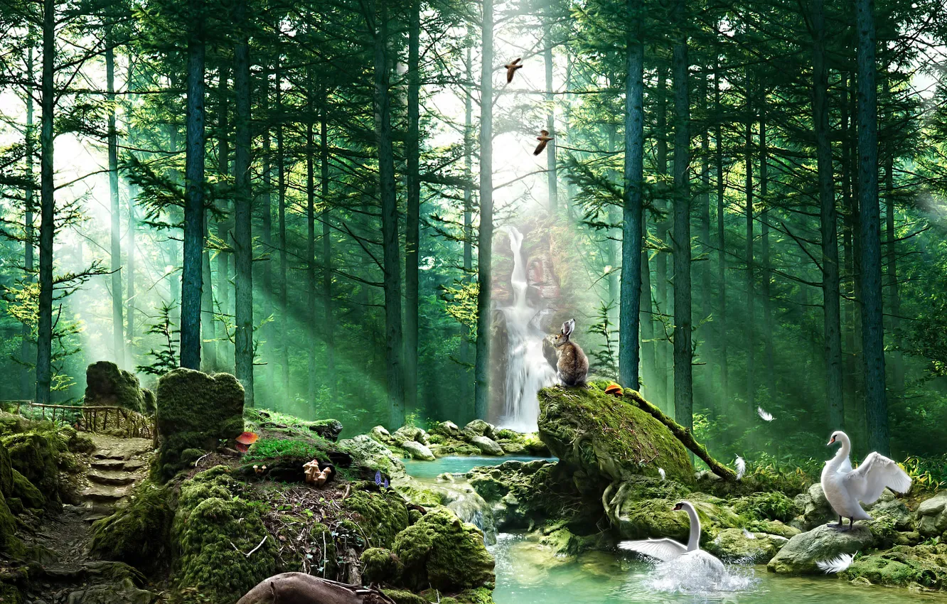Фото обои лес, животные, птицы, река, грибы, водопад, перья, кролик