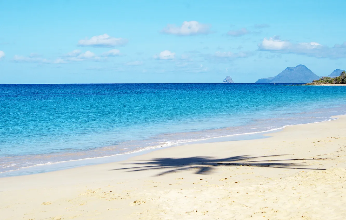 Фото обои песок, море, облака, горы, пальма, берег, тень