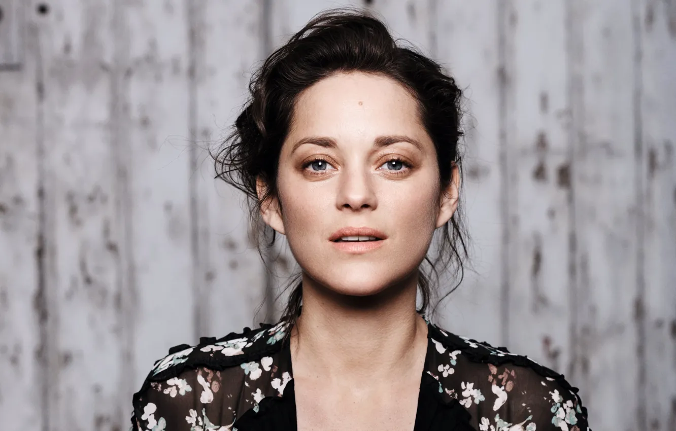 Фото обои фон, портрет, актриса, брюнетка, Марион Котийяр, Marion Cotillard, Dior, Jan Welters
