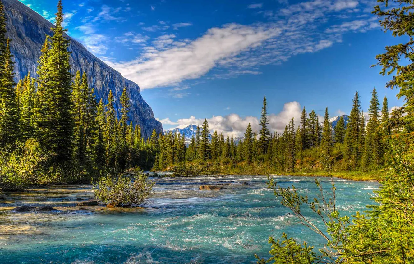 Фото обои деревья, горы, природа, река, Канада, Mount Robson Provincial Park