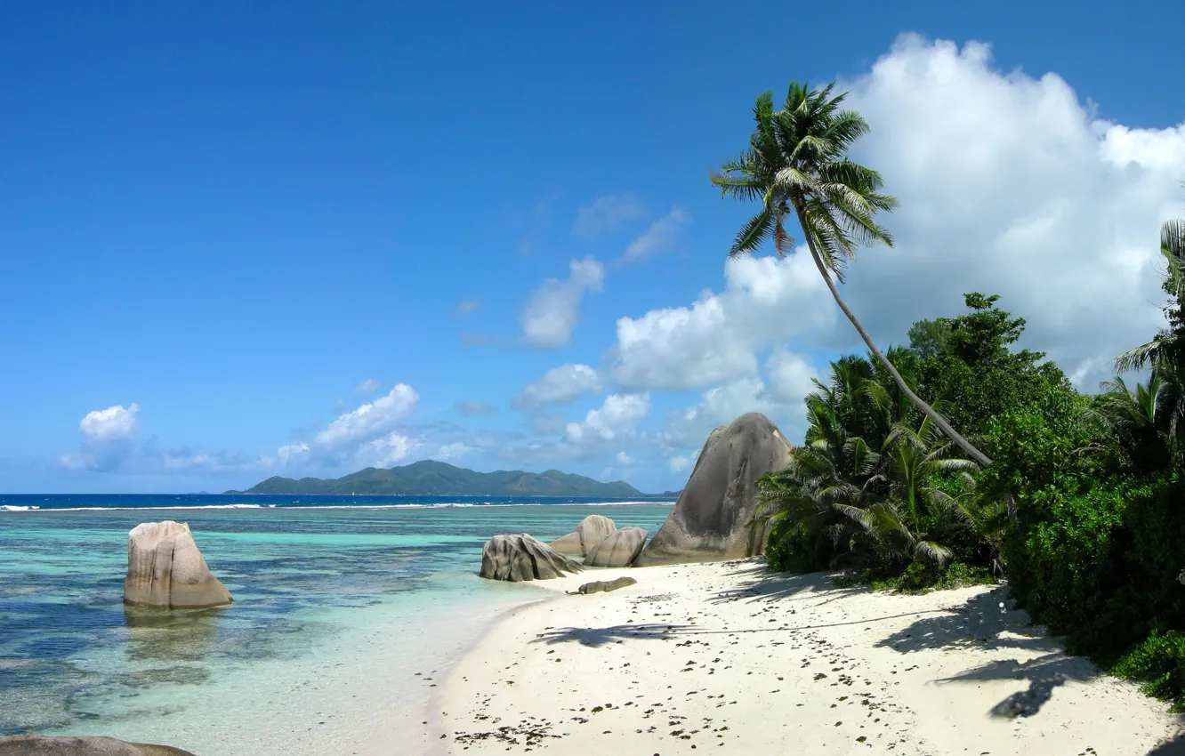 Фото обои море, пляж, пальмы, остров