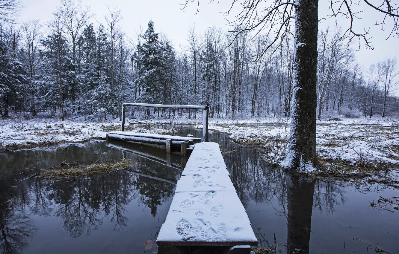 Фото обои зима, мост, природа