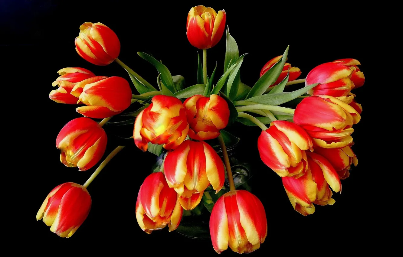Фото обои цветы, оранжевый, желтый, красный, букет, тюльпаны, ваза, черный фон