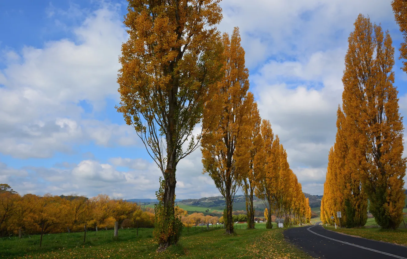 Фото обои дорога, осень, небо, облака, деревья, сад