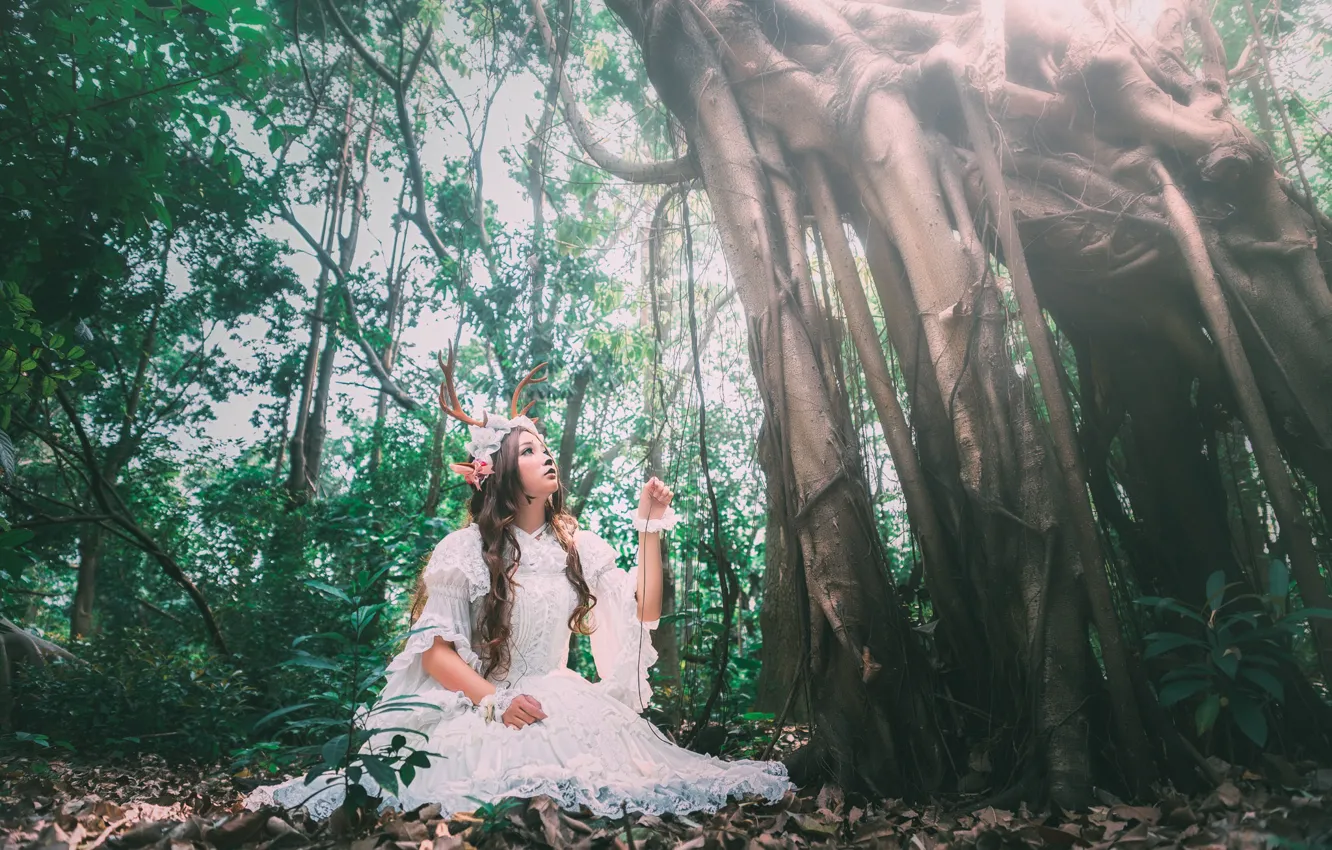 Фото обои лес, девушка, дерево, платье, рога, азиатка