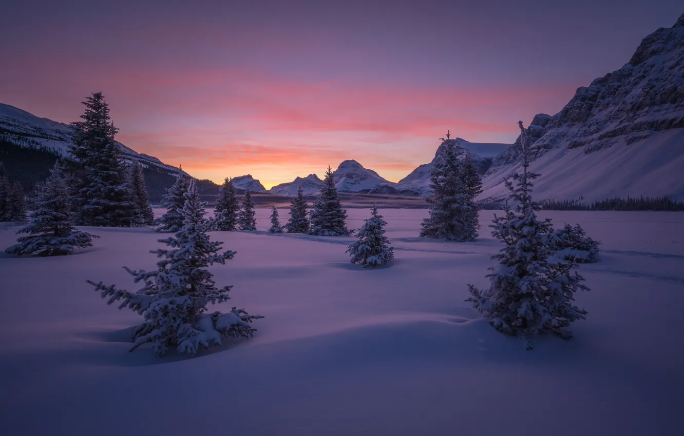 Фото обои зима, лес, небо, снег, деревья, горы, рассвет, долина