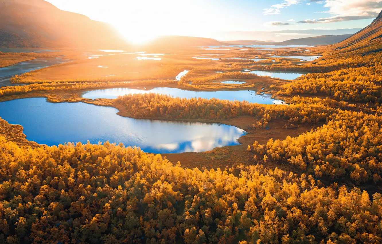 Фото обои осень, небо, деревья, озеро, Швеция, Sunrise, Lapland, Лапландия