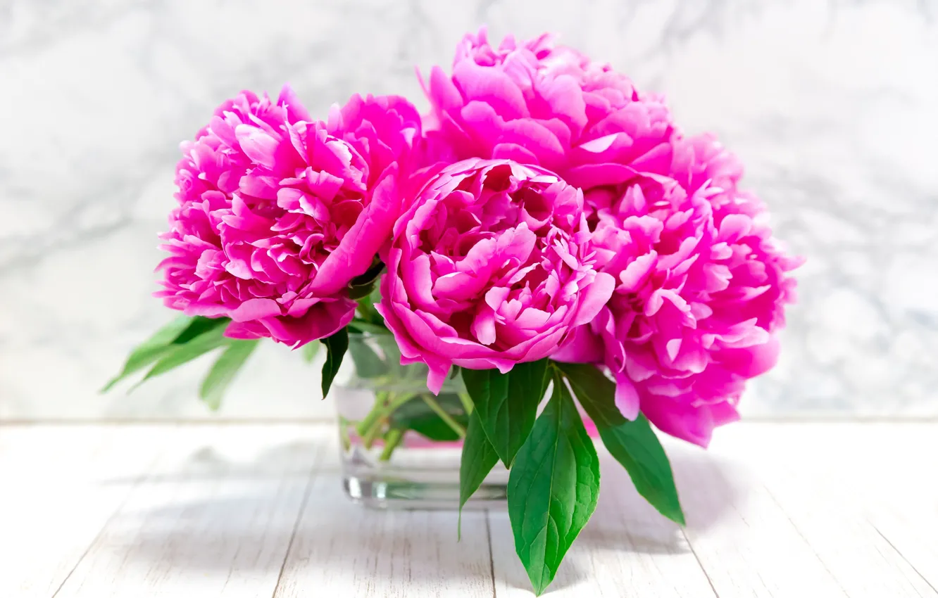 Фото обои цветы, доски, букет, ваза, розовые, светлый фон, пионы, пион