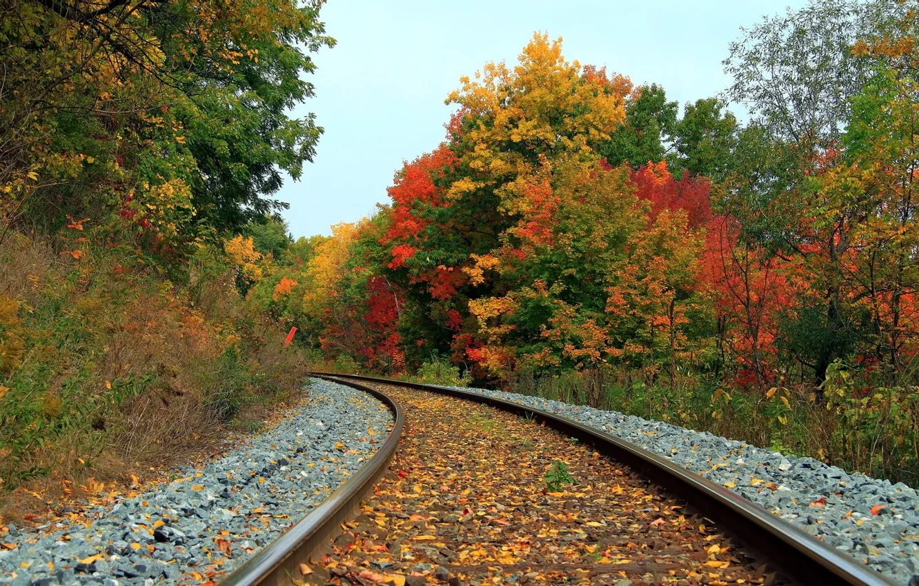 Фото обои осень, пейзаж, железная дорога