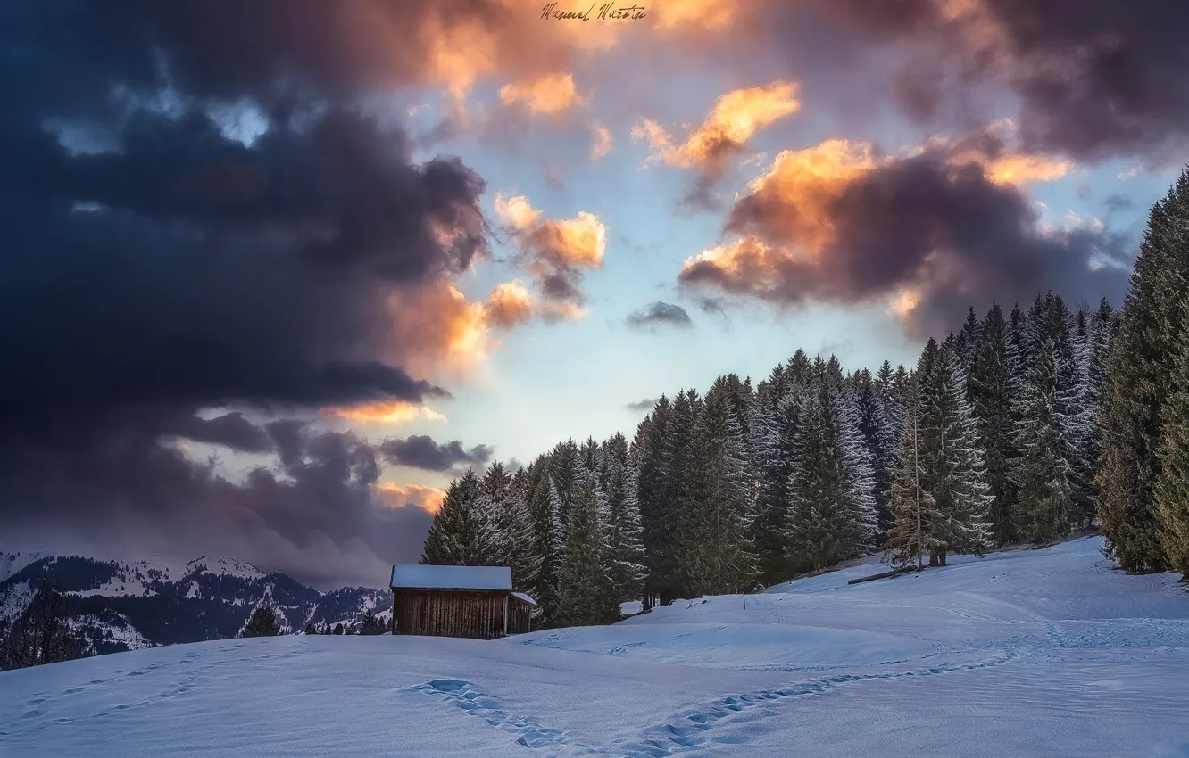 Фото обои зима, лес, небо, облака, снег, горы, Альпы, домик
