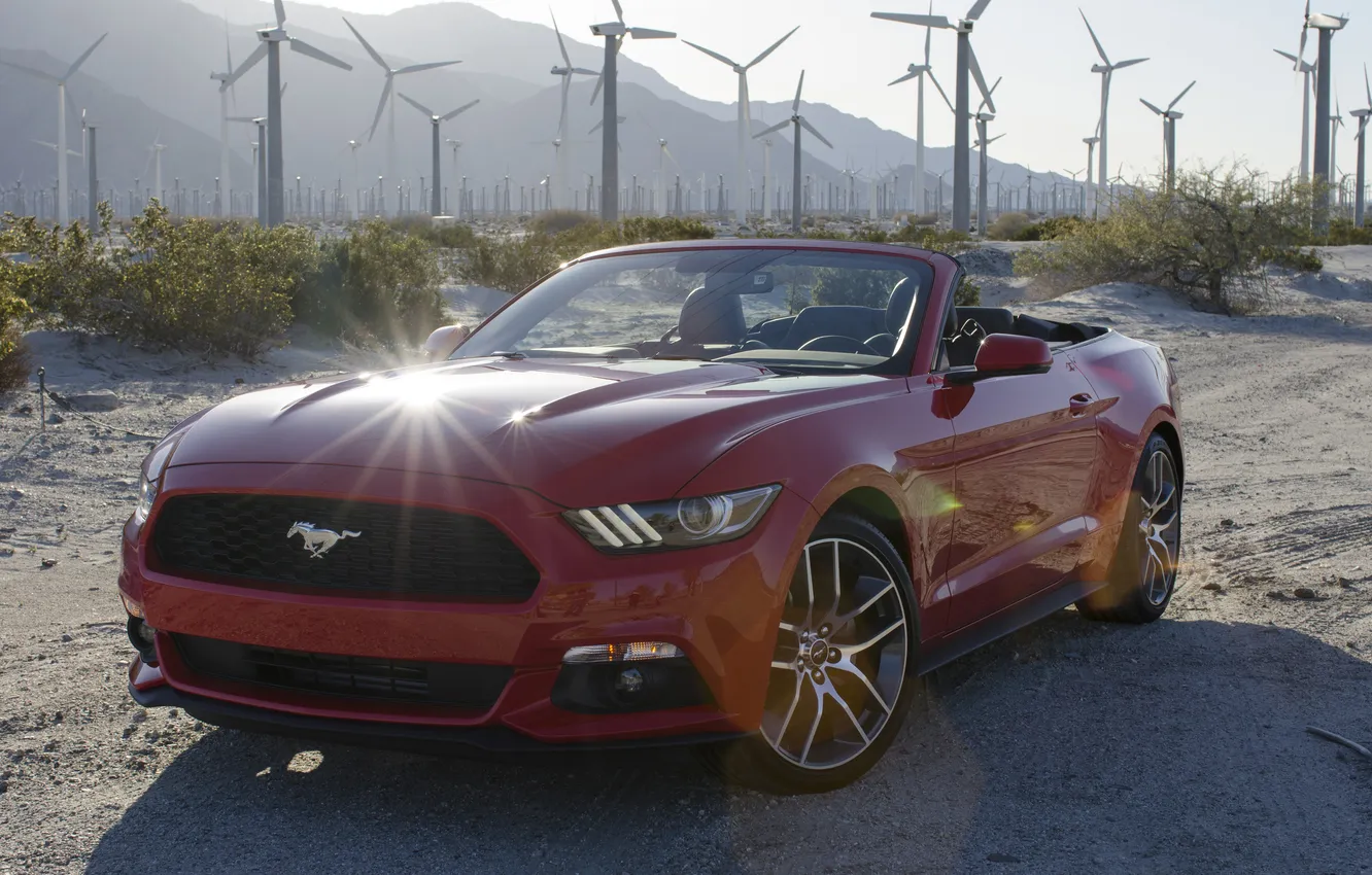 Фото обои Mustang, Ford, мустанг, форд, Convertible, 2014